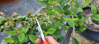 앙꼬르 블루베리님의 자유주제 · 사진전 작성글 사진