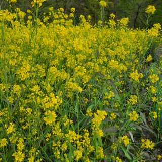 knlee님의 자유주제 · 자유게시판 작성글 사진