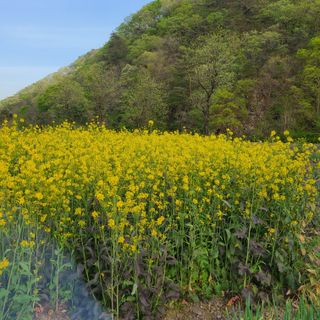 knlee님의 자유주제 · 자유게시판 작성글 사진