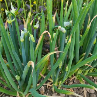 knlee님의 자유주제 · 자유게시판 작성글 사진