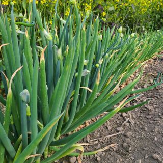 knlee님의 자유주제 · 자유게시판 작성글 사진