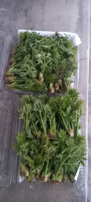 장만월님의 자유주제 · 자유게시판 작성글 사진