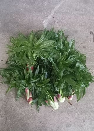 장만월님의 자유주제 · 자유게시판 작성글 사진