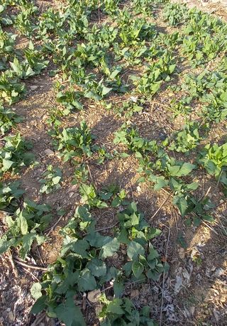 장만월님의 자유주제 · 자유게시판 작성글 사진