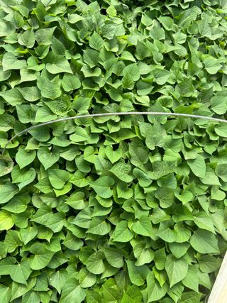 이영민님의 작성글 사진