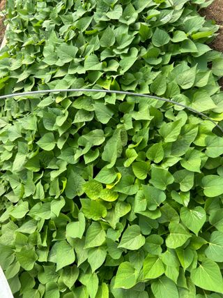 이영민님의 작성글 사진