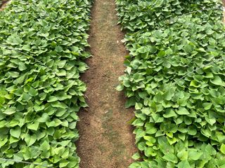 이영민님의 작성글 사진