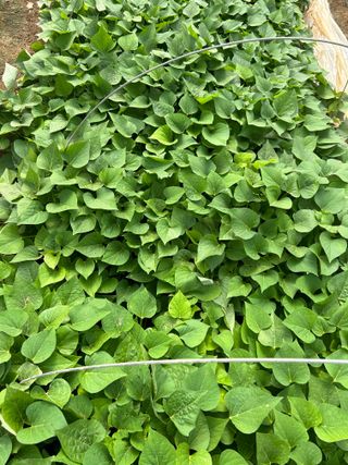 이영민님의 작성글 사진