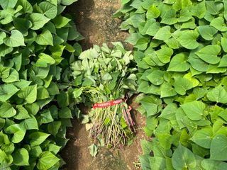 이영민님의 작성글 사진