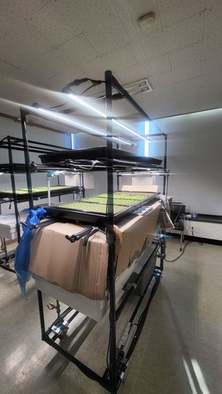 윤대권님의 상추 · 영농일지 작성글 사진