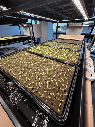 윤대권님의 상추 · 영농일지 작성글 사진