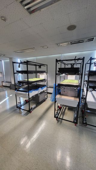 윤대권님의 상추 · 영농일지 작성글 사진