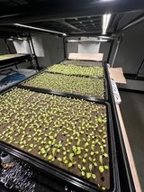 팜모닝 상추·영농일지 게시글 이미지