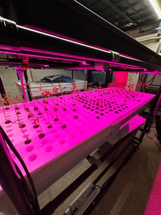 윤대권님의 상추 · 영농일지 작성글 사진