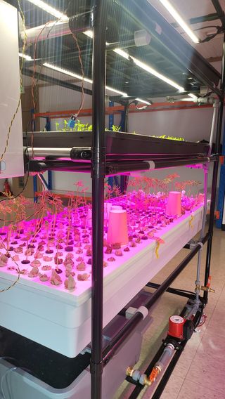 윤대권님의 상추 · 영농일지 작성글 사진