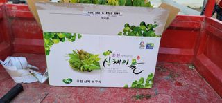 열정님의 최근에 산 것 자랑하기 · 참여글 작성글 사진