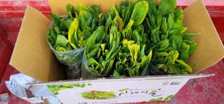 열정님의 최근에 산 것 자랑하기 · 참여글 작성글 사진