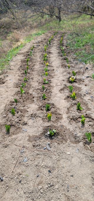열정님의 최근에 산 것 자랑하기 · 참여글 작성글 사진