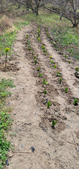 열정님의 최근에 산 것 자랑하기 · 참여글 작성글 사진