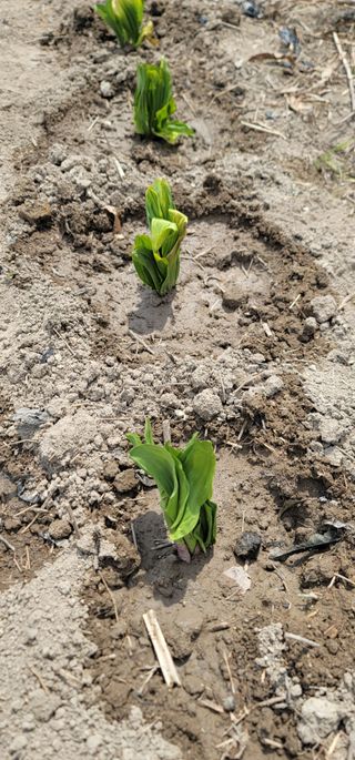 열정님의 최근에 산 것 자랑하기 · 참여글 작성글 사진