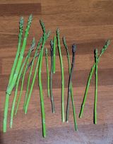 팜모닝 기타작물·영농일지 게시글 이미지