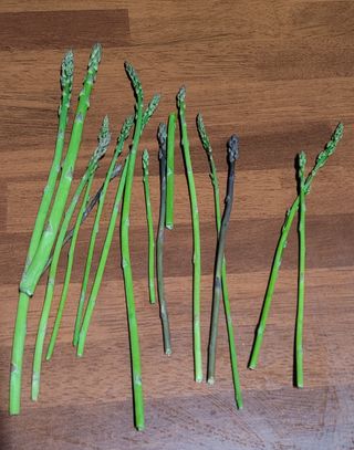 시골느림보님의 기타작물 · 영농일지 작성글 사진