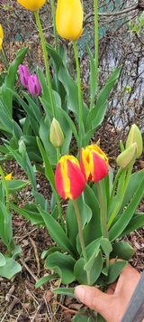 팜모닝 자유주제·사진전 게시글 이미지