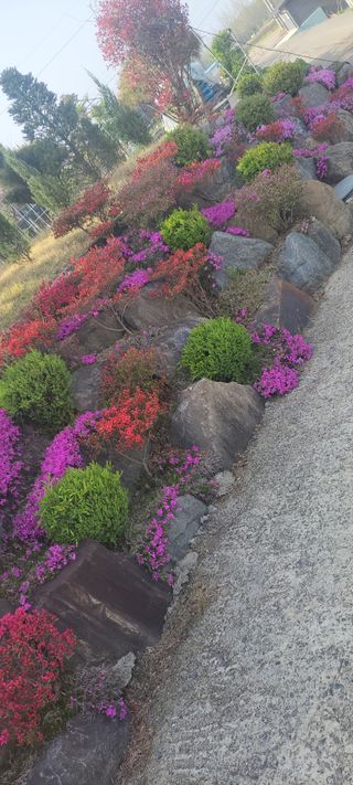 김종옥님의 자유주제 · 사진전 작성글 사진