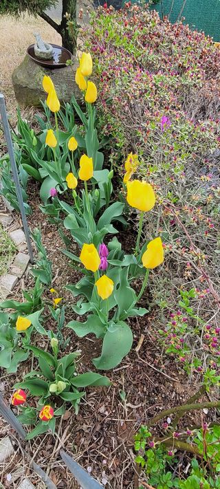 김종옥님의 자유주제 · 사진전 작성글 사진