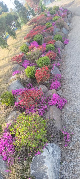 김종옥님의 자유주제 · 사진전 작성글 사진