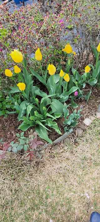 김종옥님의 자유주제 · 사진전 작성글 사진