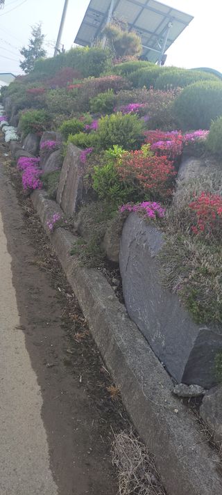 김종옥님의 자유주제 · 사진전 작성글 사진