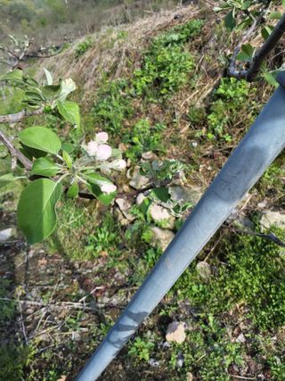 박원주(다원농장)님의 자유주제 · 사진전 작성글 사진