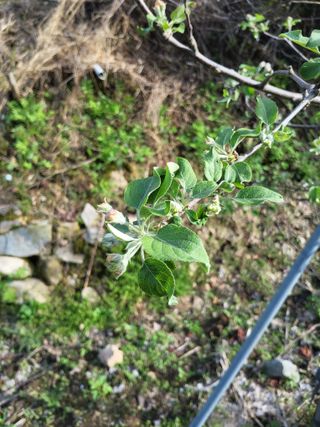 박원주(다원농장)님의 자유주제 · 사진전 작성글 사진