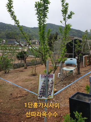 김순필수방님의 자유주제 · 자유게시판 작성글 사진