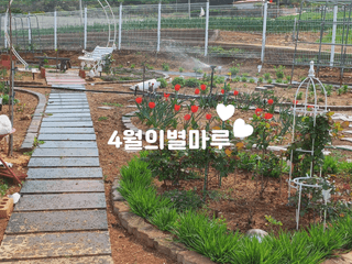 유기농으로키우자님의 자유주제 · 자유게시판 작성글 사진