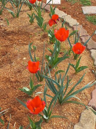 유기농으로키우자님의 자유주제 · 자유게시판 작성글 사진