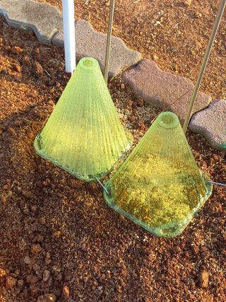 유기농으로키우자님의 자유주제 · 자유게시판 작성글 사진