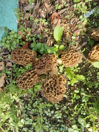 호호할매님의 자유주제 · 자유게시판 작성글 사진