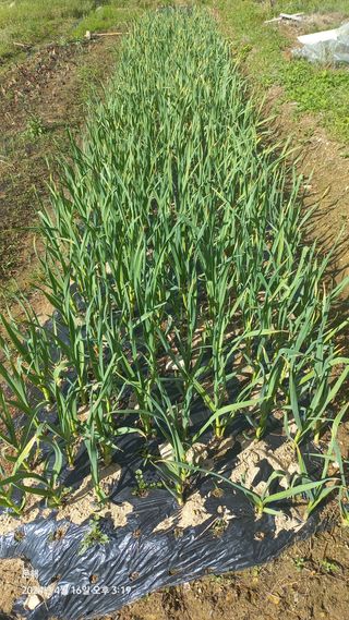 문해님의 자유주제 · 자유게시판 작성글 사진