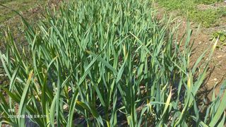 문해님의 자유주제 · 자유게시판 작성글 사진