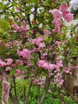 팜모닝 자유주제·자유게시판 게시글 이미지