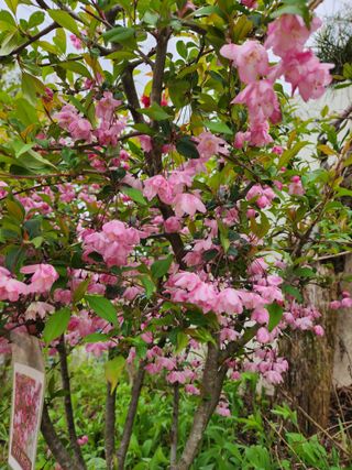 쏭이네농장(현자)님의 자유주제 · 자유게시판 작성글 사진