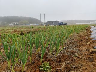 윤충기님의 콩 · 영농일지 작성글 사진