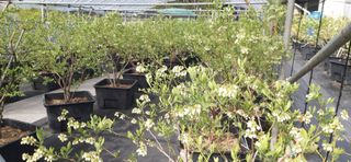 산마루농장님의 자유주제 · 자유게시판 작성글 사진