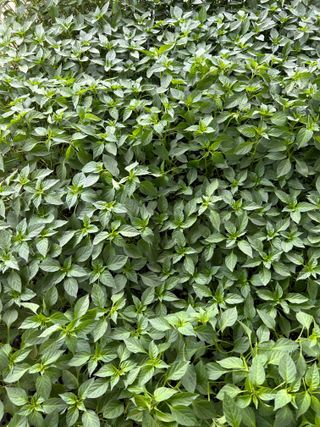 이영민님의 작성글 사진