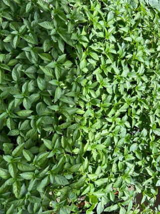 이영민님의 작성글 사진