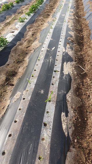 박철규 님의 자유주제 · 자유게시판 작성글 사진