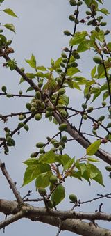 팜모닝 자유주제·자유게시판 게시글 이미지