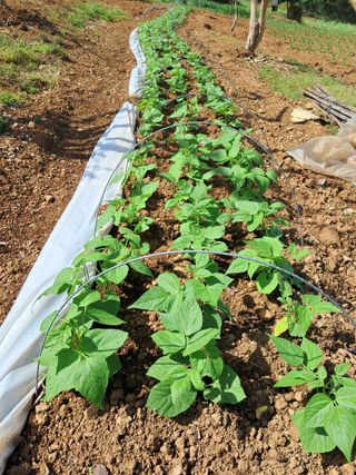 장민경님의 자유주제 · 자유게시판 작성글 사진